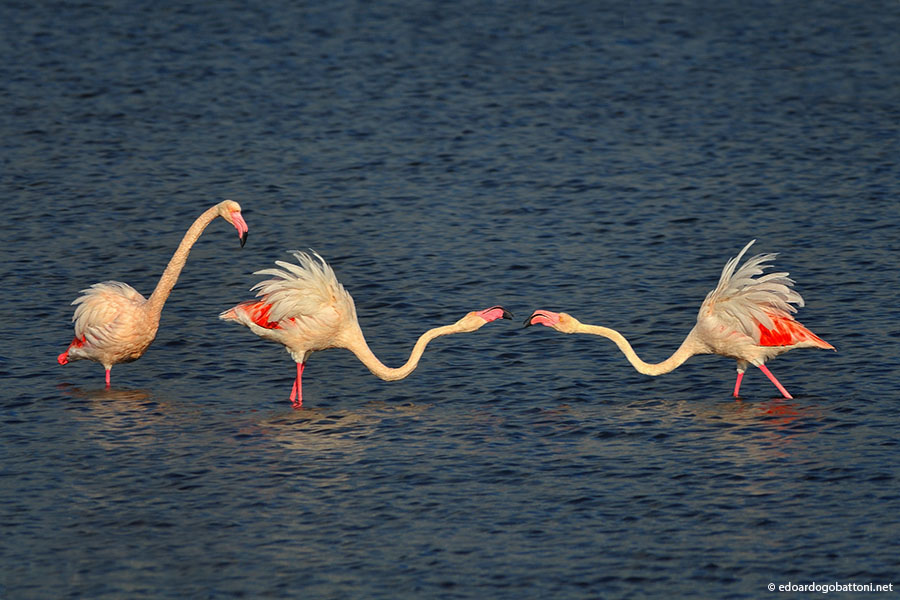 discussioni in famiglia