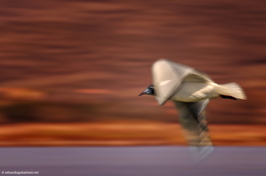 The man who has no imagination has no wings