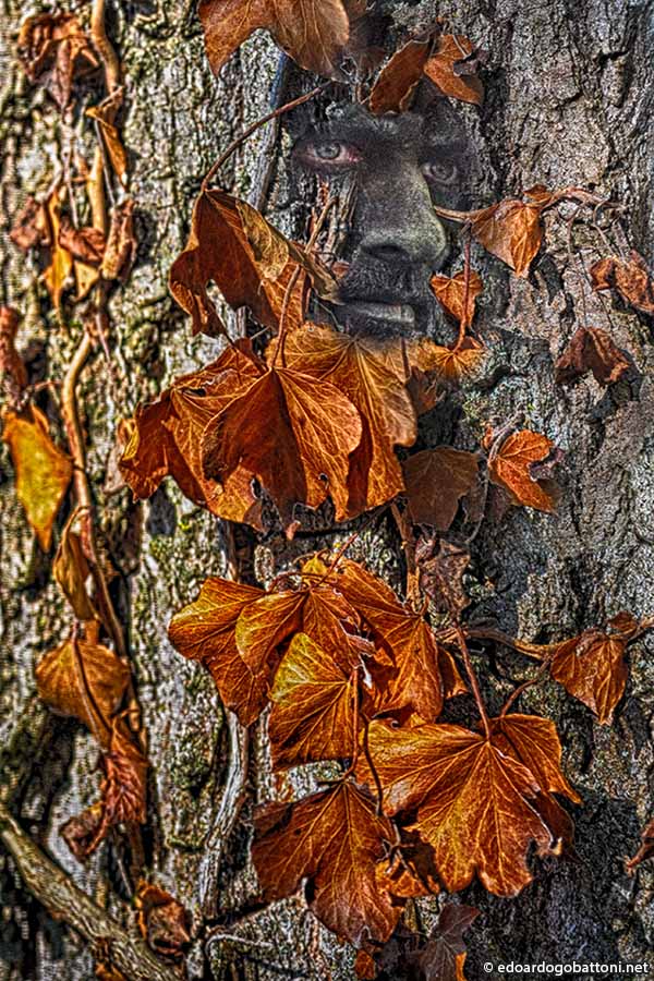 the spirit of autumn