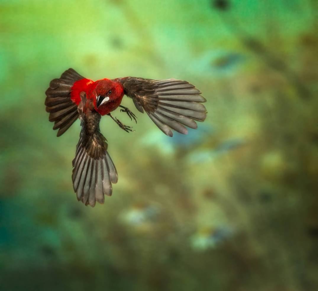 Alfredo Sanchez Roman