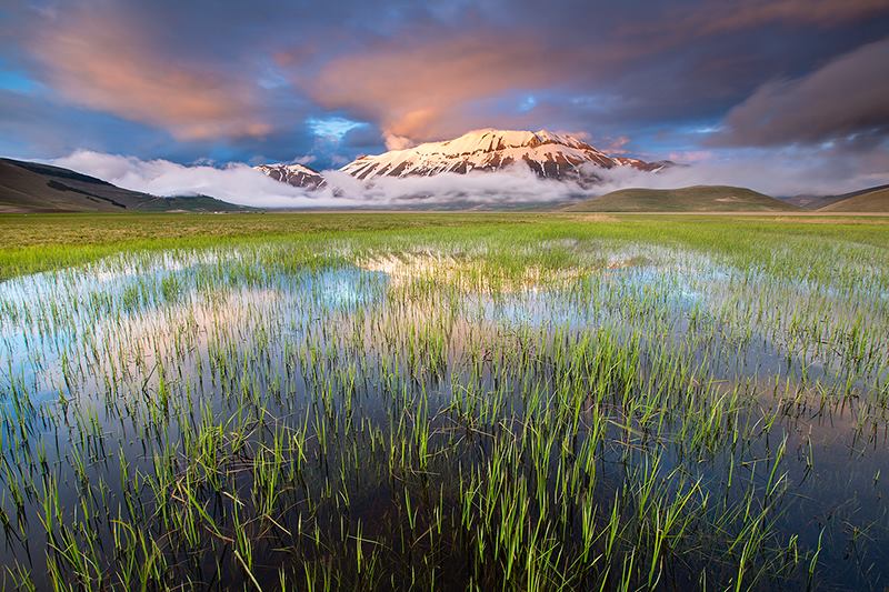 Maurizio Caporaletti