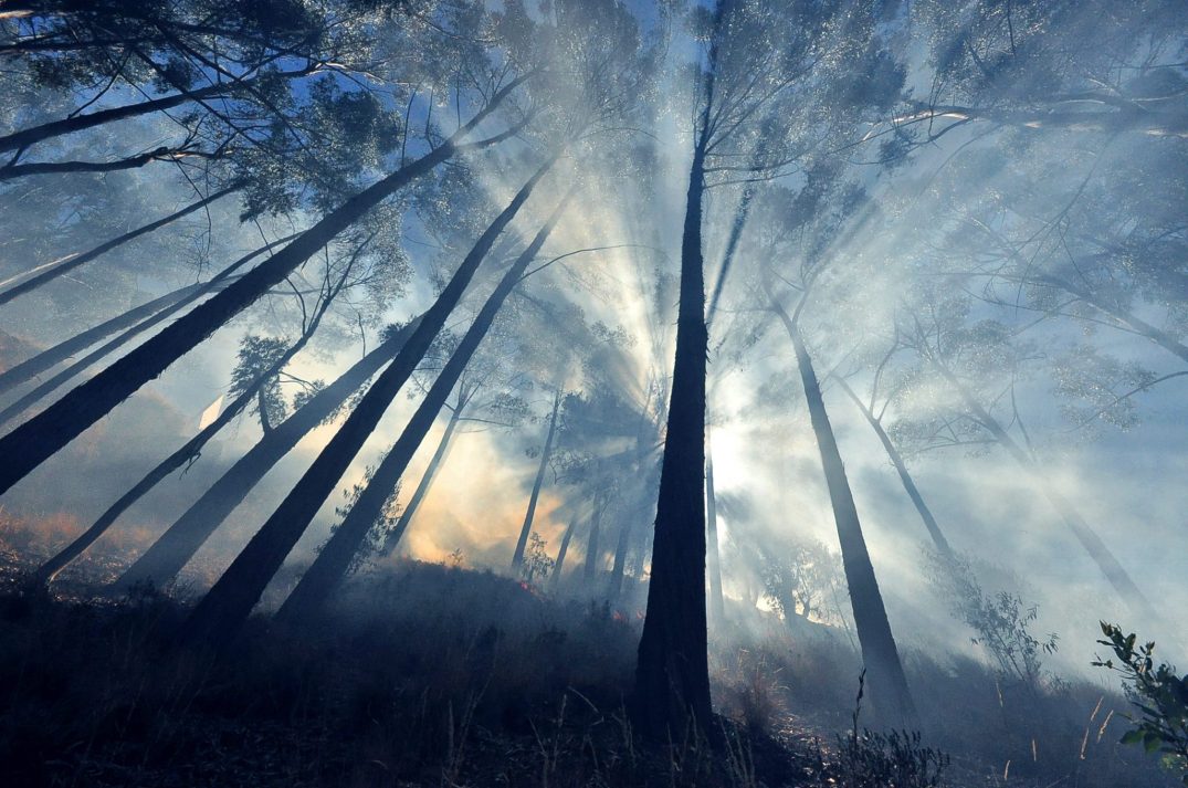 Carlos Sánchez Navas