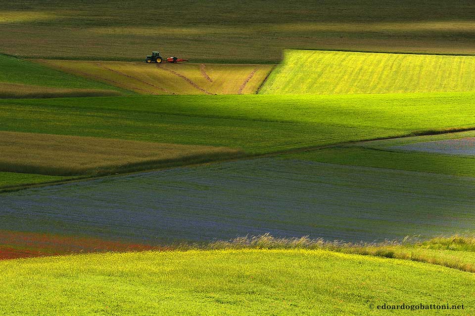 960 Between shadows and light 2-EDOARDO GOBATTONI