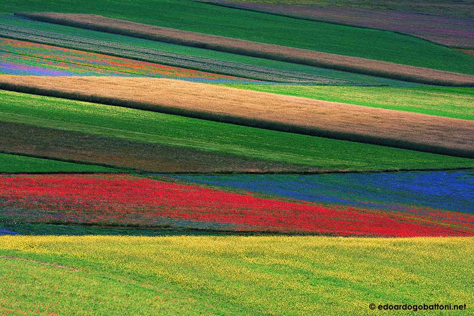 960-Abstract landscape #2-EDOARDO GOBATTONI