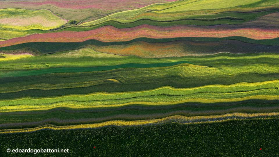 bstract landscape 12