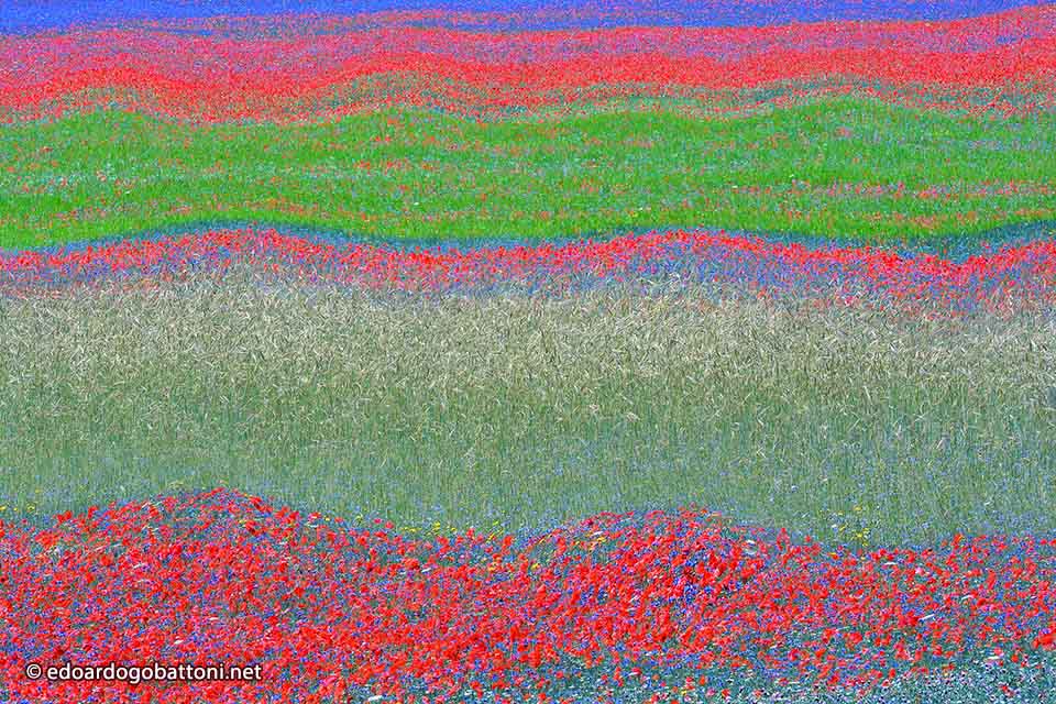 960-abstract-landscape-13-edoardo-gobattoni