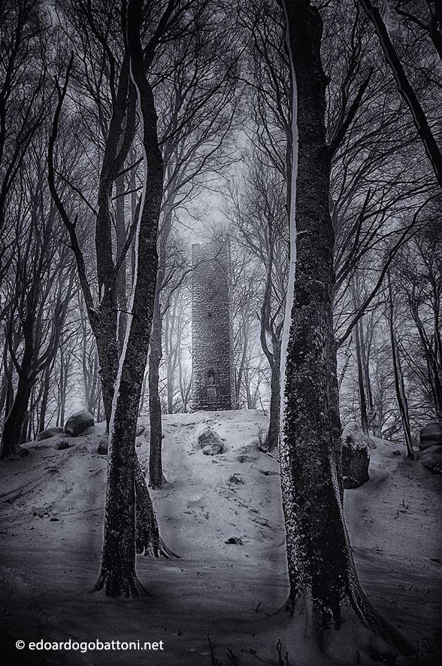 960-snow-in-the-beech-forest-edoardo-gobattoni