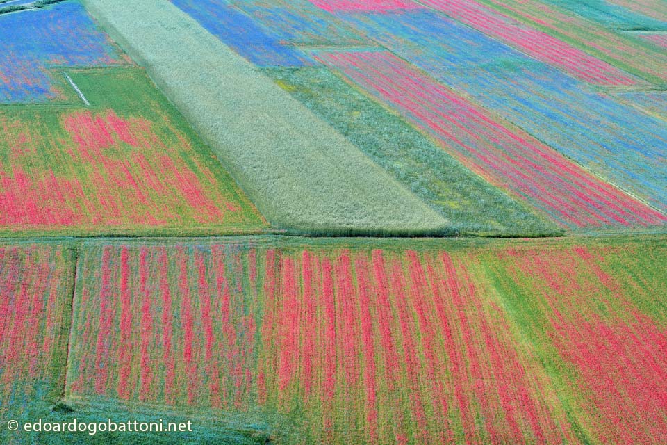 960-COLORFUL-LANDSCAPE-EDOARDO GOBATTONI