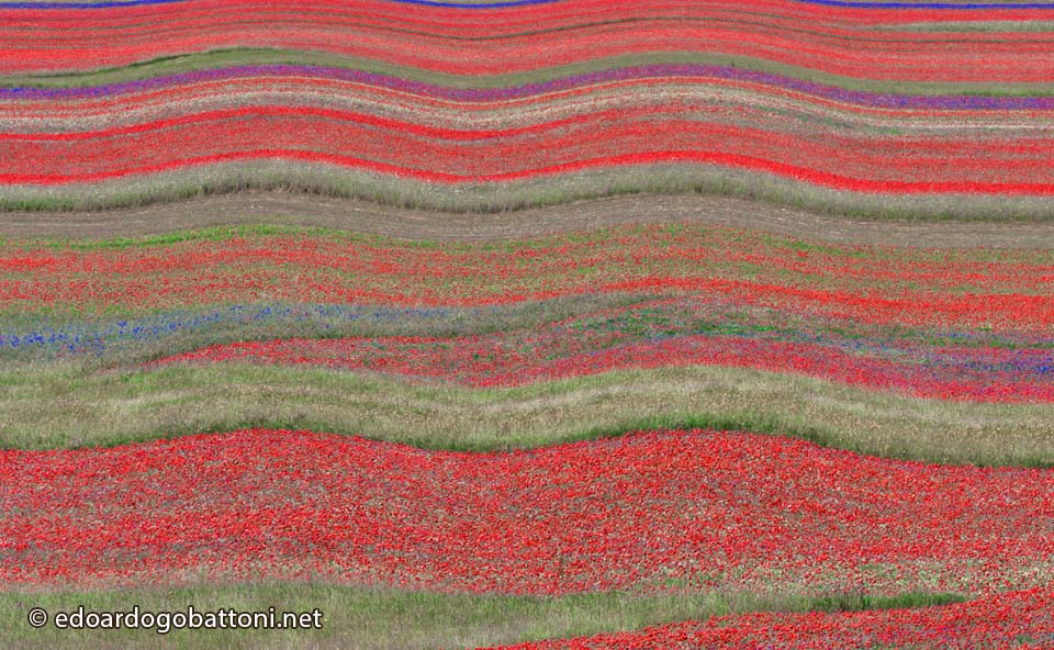 960-ABSTRACT LANDSCAPE-26-EDOARDO-GOBATTONI